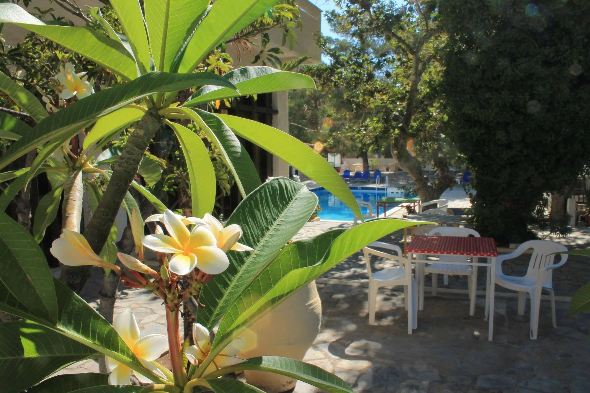 Esperides Hotel Ierápetra Exterior foto